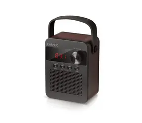 CARNEO F90 schwarz / Tragbares Radio / UKW / BT-Lautsprecher / 5W