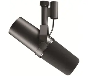 Shure SMB7 schwarz / dynamisches Mikrofon / USB / 50 Hz - 16000 Hz 