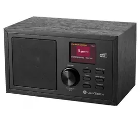 Gogen DAB620BTCB schwarz / DAB+ Radio / Bluetooth / 5 W