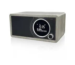 Sharp DR-450GR schwarz / Tragbares Radio / 6 W / DAB+ / FM / BT / LCD-Display 