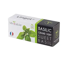 Véritable Bio-Basilikumsamen / für Smart Pots Véritable
