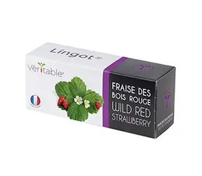 Véritable Walderdbeersamen / für Smart Pots Véritable