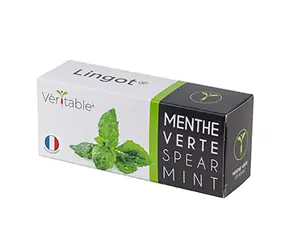 Véritable Minzsamen / für intelligente Pflanzgefäße Véritable