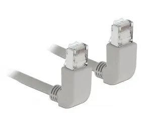 DeLock Patchkabel RJ-45 (M) - RJ-45 (M) rechteckig S/FTP Cat.6A 0,5m grau