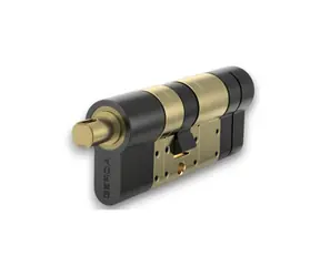 Tedee Europäischer Moduleinsatz GERDA EXXO SMART 31-62 mm schwarz