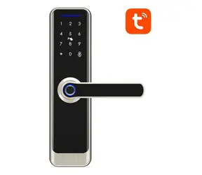 Avatto SDL-A270-S-6072 Digitales Smart-Schloss mit WLAN, Silber