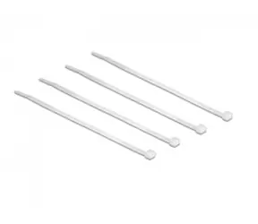 DeLock Spannbänder / transparent / L 100 x B 2,5 mm / 100 Stk