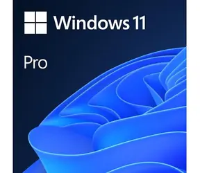 Microsoft Windows 11 Pro EN 64-Bit (OEM) / Betriebssystem / DVD für 64-Bit / Englisch / für 1 PC nicht übertragbar