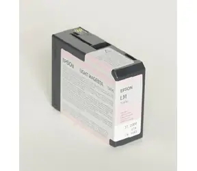 Epson Originalpatrone T580B