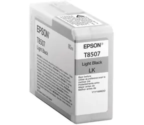 Epson Originalpatrone T850700 UltraChrome HD / 80 ml / hellschwarzes Foto
