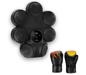 HMS TB30 Elektronische Boxscheibe mit LED / Bluetooth und Boxhandschuhen (Musikboxmaschine)