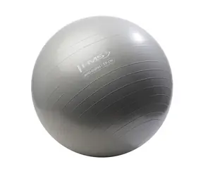 HMS YB02N Turnball 55 cm grau