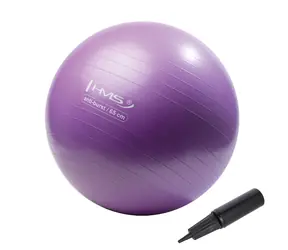HMS YB02N Turnball 65 cm lila