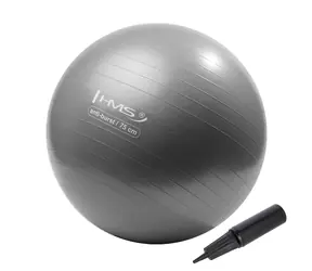 HMS YB02N Gymnastikball 75 cm grau-silber