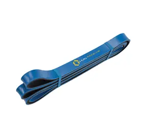 HMS GU06 Widerstandsgummi blau