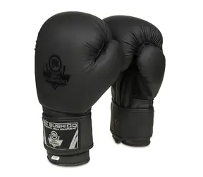 DBX BUSHIDO B-2v12 Boxhandschuhe