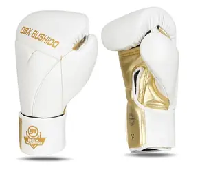 DBX BUSHIDO B-2v19 Boxhandschuhe