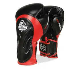 DBX BUSHIDO BB4 Boxhandschuhe