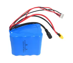 Flytec V030 Akku 20.000 mAh