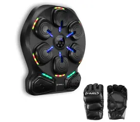 Elektronische Boxscheibe HMS TB13 mit LED, Bluetooth und Boxhandschuhen (Musikboxmaschine)