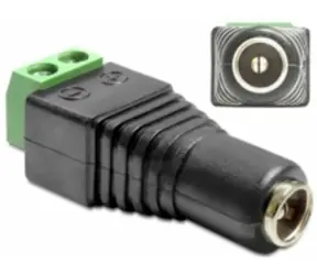 DeLock Adapter DC 2,1 x 5,5 mm Buchse auf Klemmleiste 2 Pins
