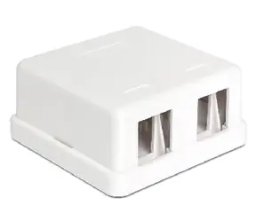 DeLock Keystone-Box für 2 Ports / Wandmontage