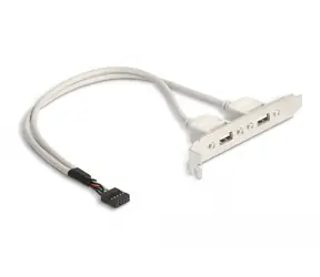 DeLock Slotblech 2 x USB 2.0 Typ A (F) extern 0,3m weiß