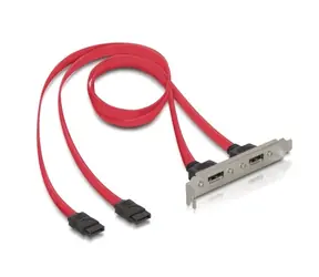 DeLock Output Slot hinten 2x eSATA 45cm rot
