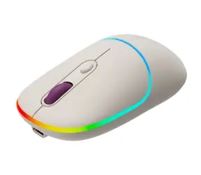 Canyon CNS-CMSW22RC beige / optische Funkmaus / 800/1200/1600 dpi / 4 Tasten / USB 2.0 / 2,4GHz / 650mAh