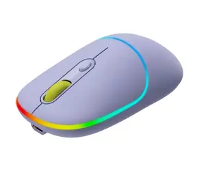 Canyon CNS-CMSW22ML lila / optische Funkmaus / 800/1200/1600 dpi / 4 Tasten / USB 2.0 / 2,4GHz / 650mAh