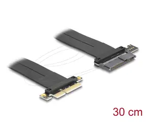 Unboxed - DeLock Riser Karte PCI Express 3.0 x4 Stecker auf U.2 SFF-8639 SSD / 30cm / unverpackt