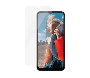 PanzerGlass Samsung Galaxy A25 5G mit Montagerahmen