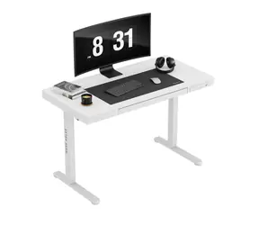 Mark Adler Leader 8.2 weiß / Elektrischer Büroschreibtisch / 120 x 60 x 72-118 cm / USB & USB-C