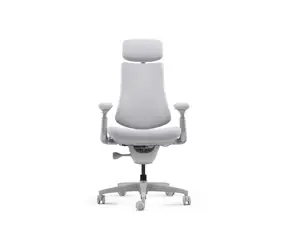 LiberNovo Omni Dynamic Ergonomischer Stuhl (Space Grau) - 48 cm