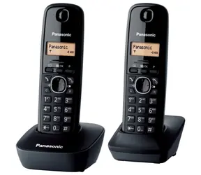 Panasonic KX-TG1612FXH grau / DECT-Schnurlostelefon mit Display / CLIP / 2 Mobilteile 