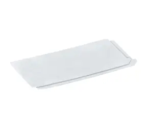 Kärcher 2.863-262.0 Abluftfilter für Staubsauger für Asche und trockenen Schmutz AD2 - AD 4 Premium