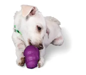 PetSafe Squirrel Dude S / Hundespielzeug / Geeignet für Hunde mit einem Gewicht von 4,5 - 9 kg