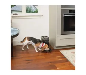 PetSafe Healthy Pet Simply Feed / Futterspender / spendet bis zu 12 Mahlzeiten pro Tag