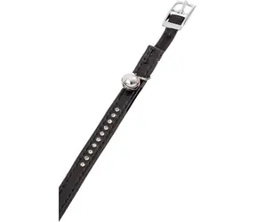 Flamingo ALP Halsband für Hunde mit Glöckchen Monte Carlo schwarz - 30x1cm