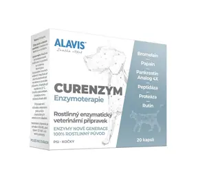 ALAVIS CURENZYM Enzymotherapie 20 Kapseln