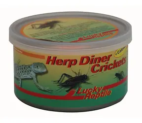 Lucky Reptile Herp Diner - Grillen 35g - groß