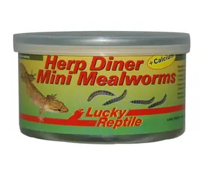 Lucky Reptile Herp Diner - Mehlwürmer 35 g - Mini 