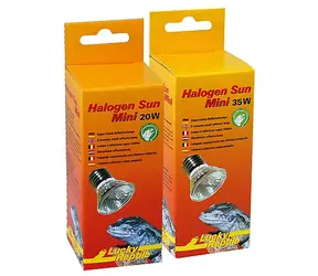 Lucky Reptile Halogen Sun Mini 50W Doppelpack
