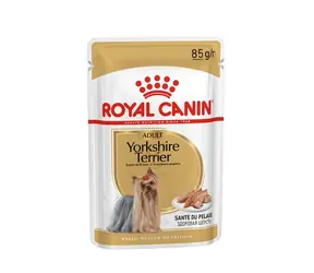 Royal Canin Yorkshire Terrier Adult 12 x 85 g / Beutel für Hunde
