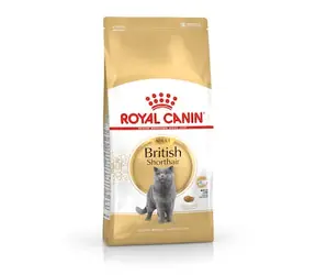 Royal Canin Britisch Kurzhaar Katzen Trockenfutter Adult 10 kg
