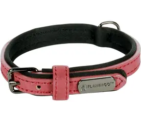 Flamingo Delu Halsband mit Neoprenpolsterung rot XS