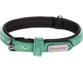 Flamingo Delu Halsband mit Neoprenpolsterung grün XS