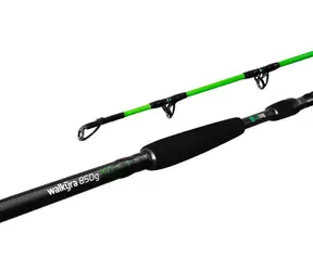 Delphin Rute Walkyra 2,6m 850g