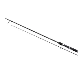 Shimano Rute FX XT 2,7m 20-50g