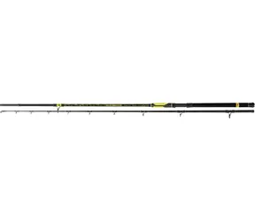 Black Cat Rute Perfect Passion XH-S 2,8 m 600 g